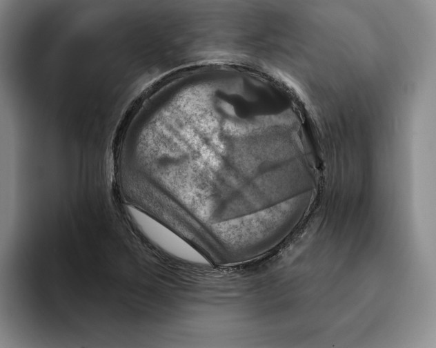 X0000091641267200709201101
