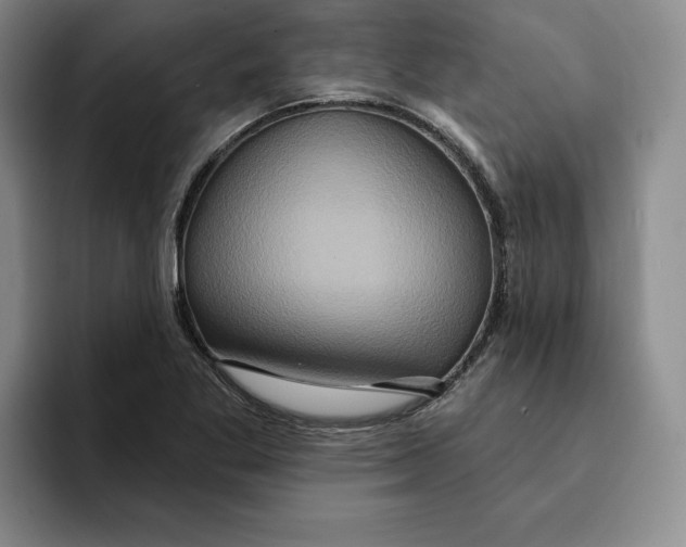 X0000091641269200709201101