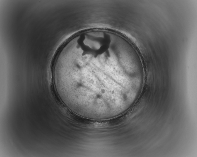 X0000091641271200709201101
