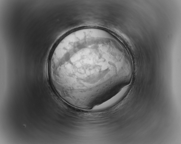 X0000091641272200709201101