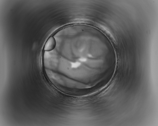 X0000091641275200709201101