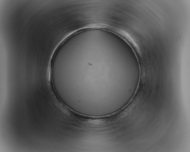 X0000091641276200709201101