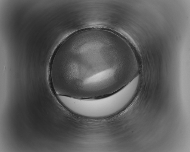 X0000091641277200709201101