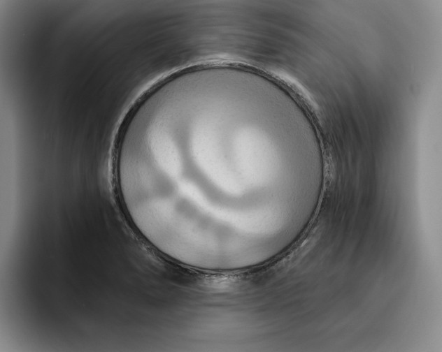 X0000091641278200709201101