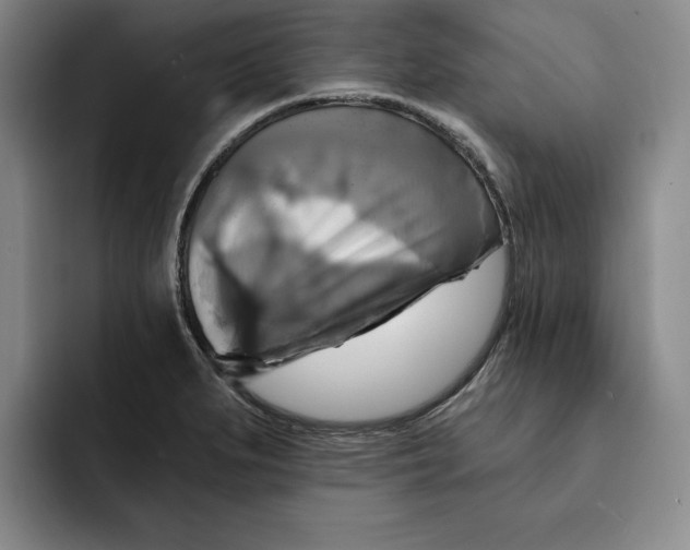 X0000091641279200709201101
