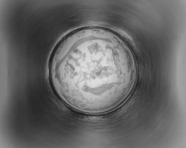 X0000091641280200709201101
