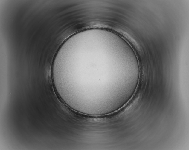 X0000091641281200709201101