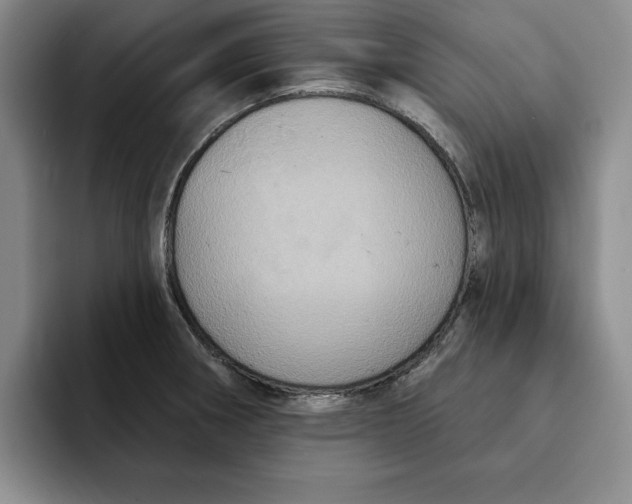 X0000091641282200709201101