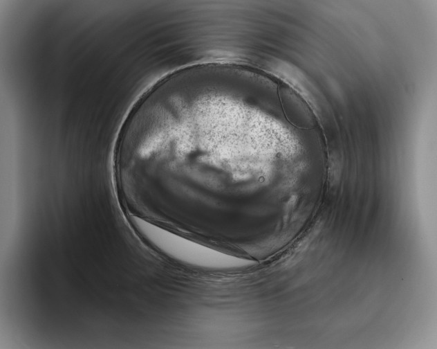 X0000091641283200709201101