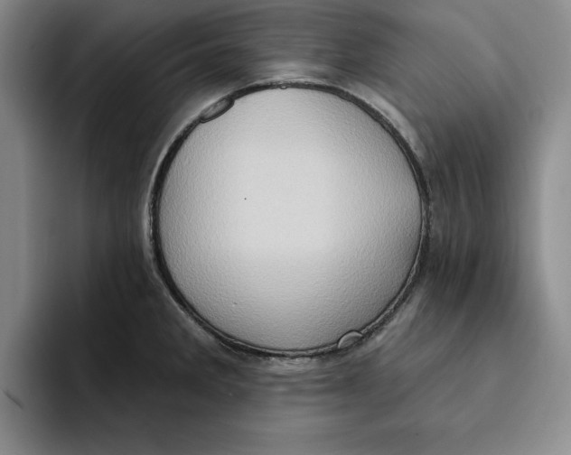 X0000091641285200709201101