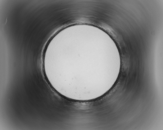 X0000091641286200709201101