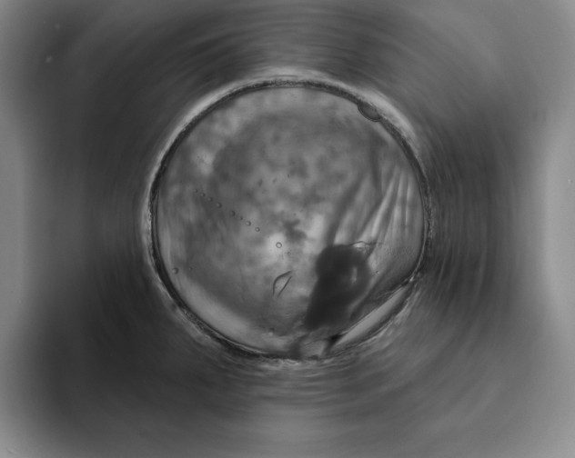 X0000091641287200709201101