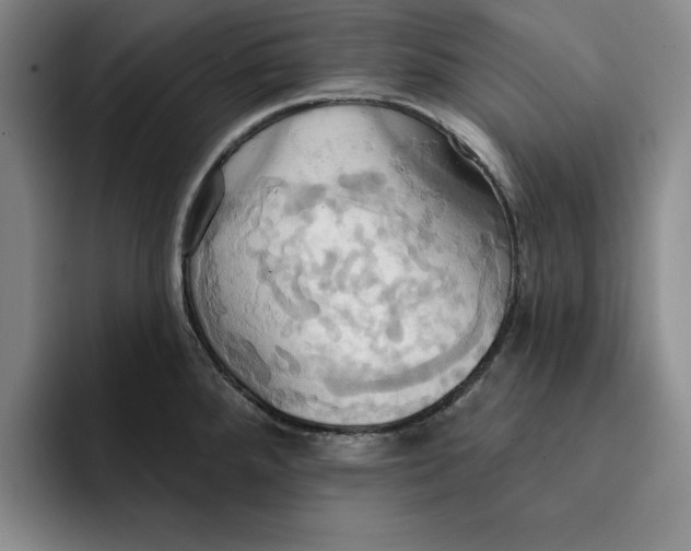 X0000091641288200709201101