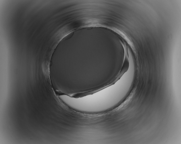X0000091641289200709201101
