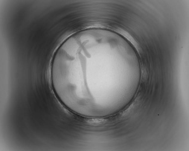 X0000091641290200709201101