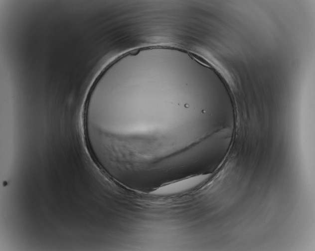 X0000091641291200709201101