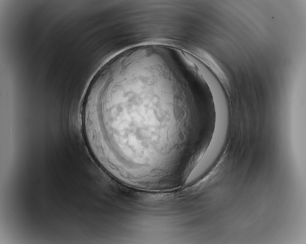 X0000091641292200709201101