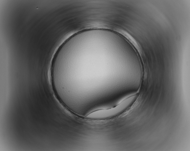 X0000091641293200709201101