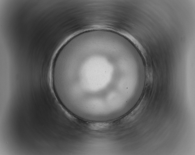 X0000091641294200709201101
