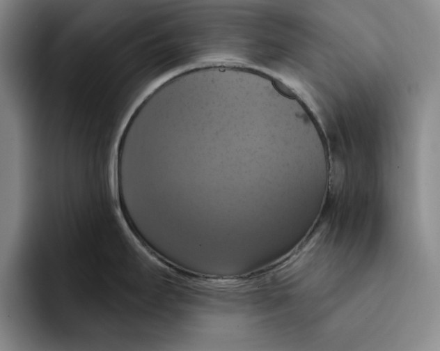 X0000091641295200709201101