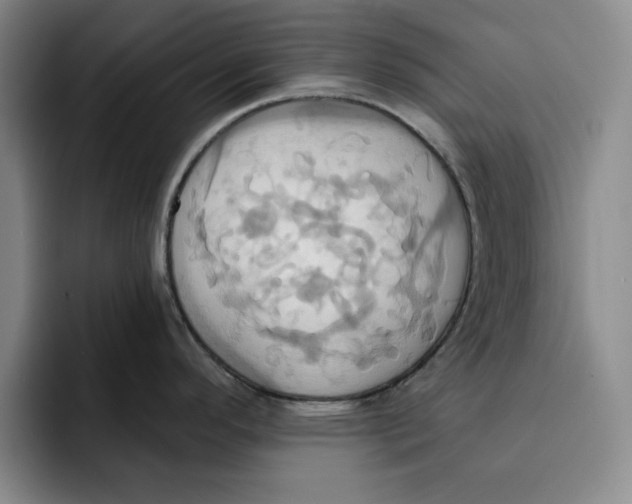 X0000091641296200709201101