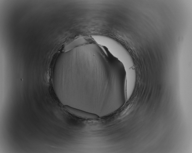 X0000091641300200709201101