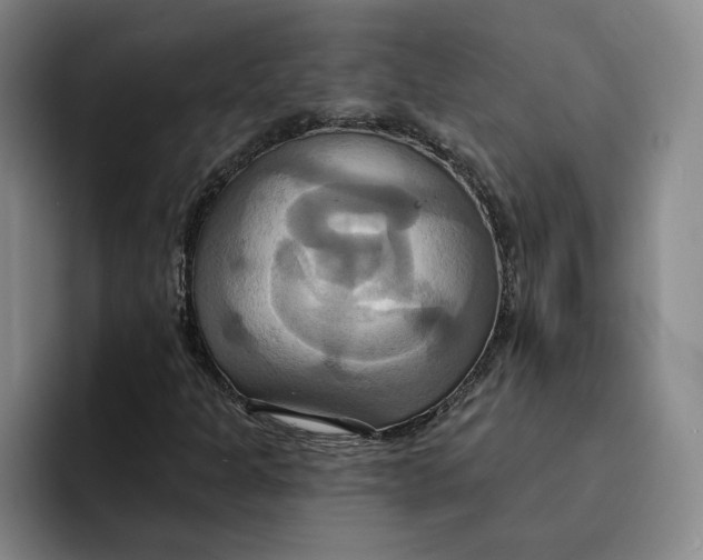 X0000091641301200709201101