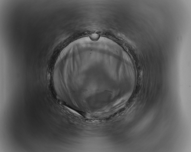 X0000091641302200709201101