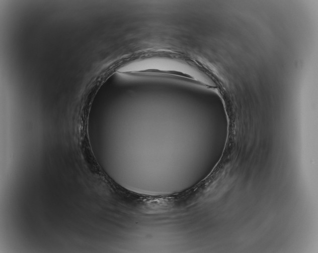 X0000091641303200709201101