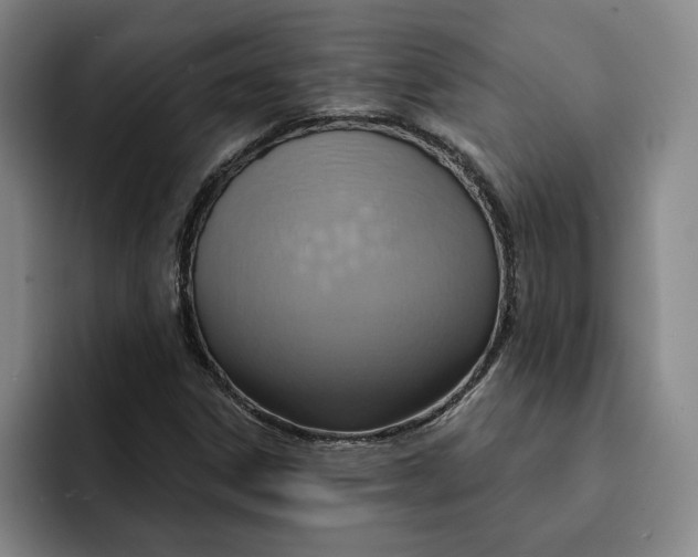 X0000091641306200709201101