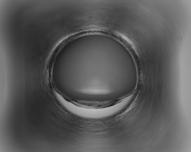 X0000091641310200709201101