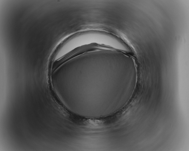 X0000091641312200709201101