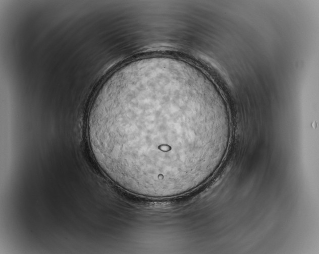 X0000091641313200709201101