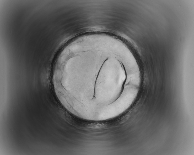 X0000091641314200709201101