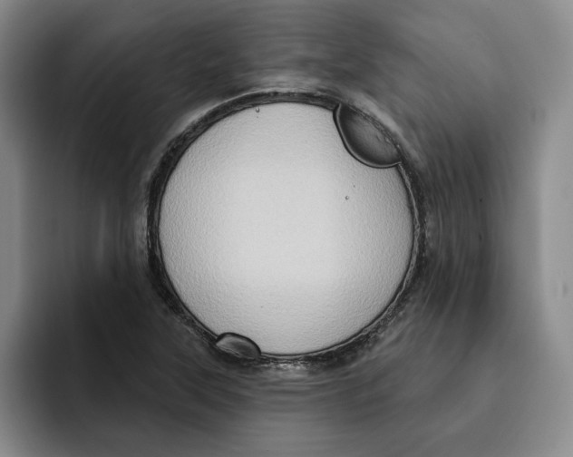 X0000091641315200709201101