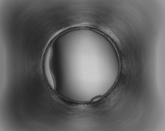 X0000091641316200709201101
