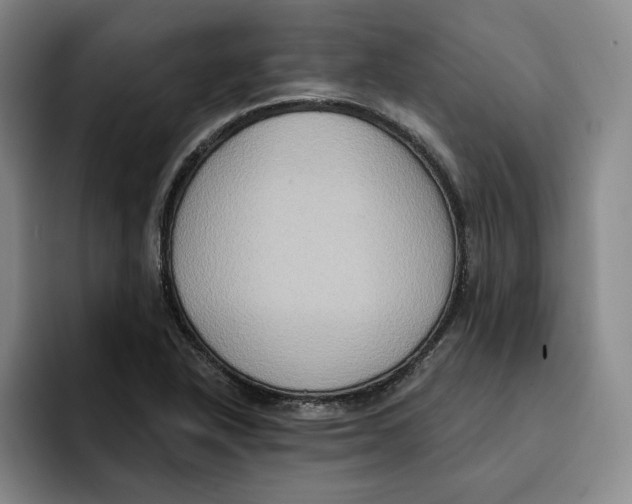 X0000091641318200709201101