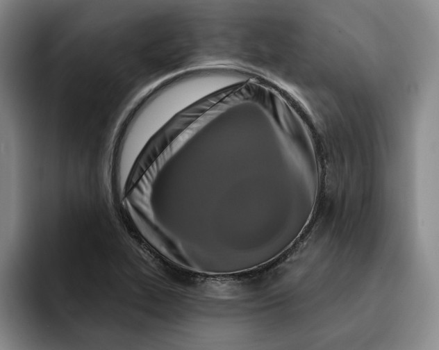 X0000091641319200709201101