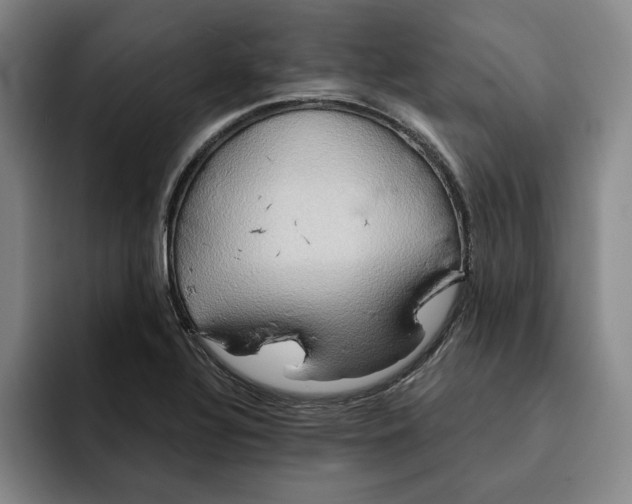 X0000091641320200709201101