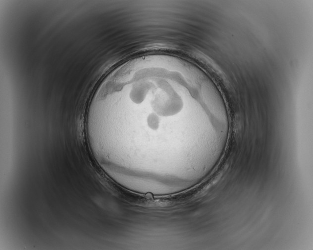 X0000091641321200709201101