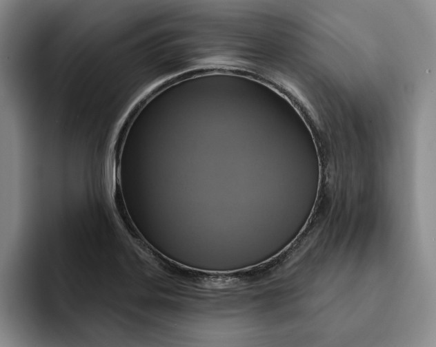 X0000091641323200709201101