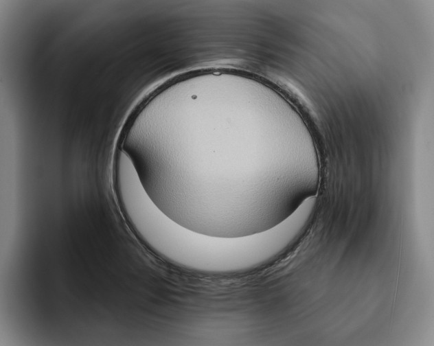 X0000091641324200709201101