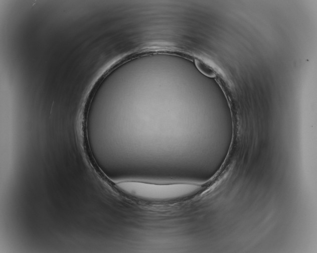 X0000091641325200709201101