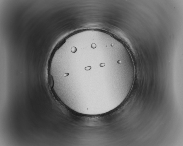 X0000091641328200709201101