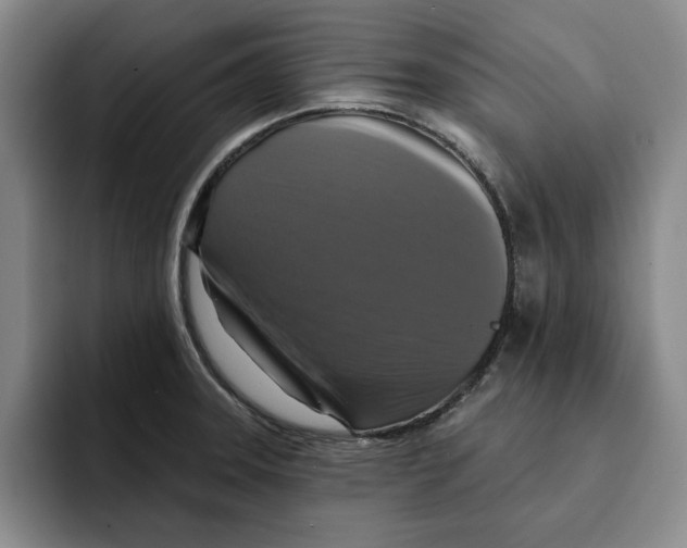 X0000091641331200709201101