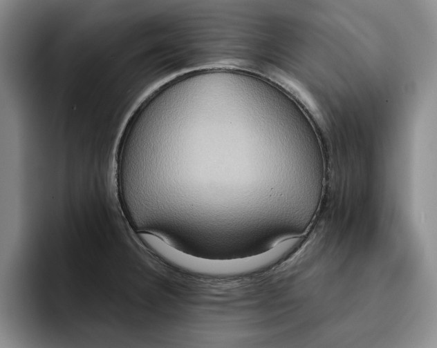X0000091641332200709201101