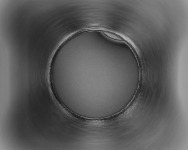 X0000091641333200709201101