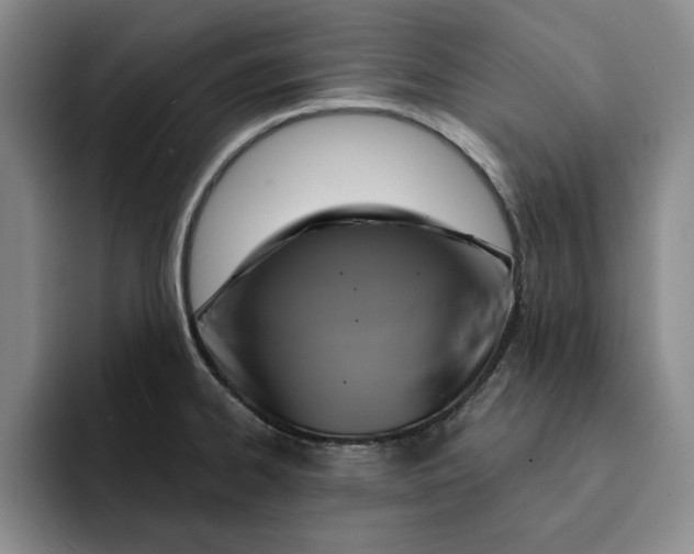 X0000091641334200709201101