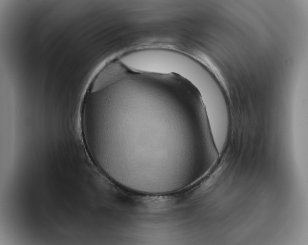 X0000091641336200709201101