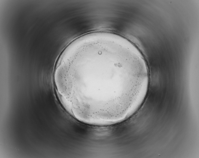 X0000091641338200709201101